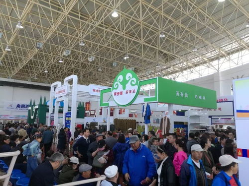 第十三屆中俄蒙經貿洽談暨商品展銷會圓滿落幕，俄蒙展廳現(xiàn)場火爆彰顯區(qū)域合作新活力