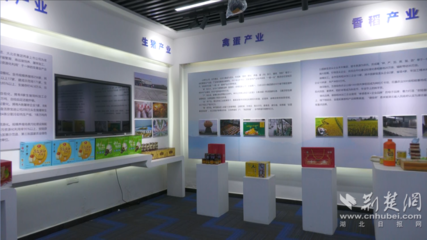 安陸鏈?zhǔn)秸猩?一根米粉串起的百億食品產(chǎn)業(yè)鏈與網(wǎng)絡(luò)文化經(jīng)營新路徑