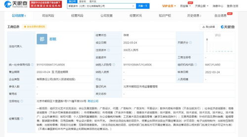 無證經(jīng)營網(wǎng)絡(luò)文化產(chǎn)品的風(fēng)險與合規(guī)路徑探析